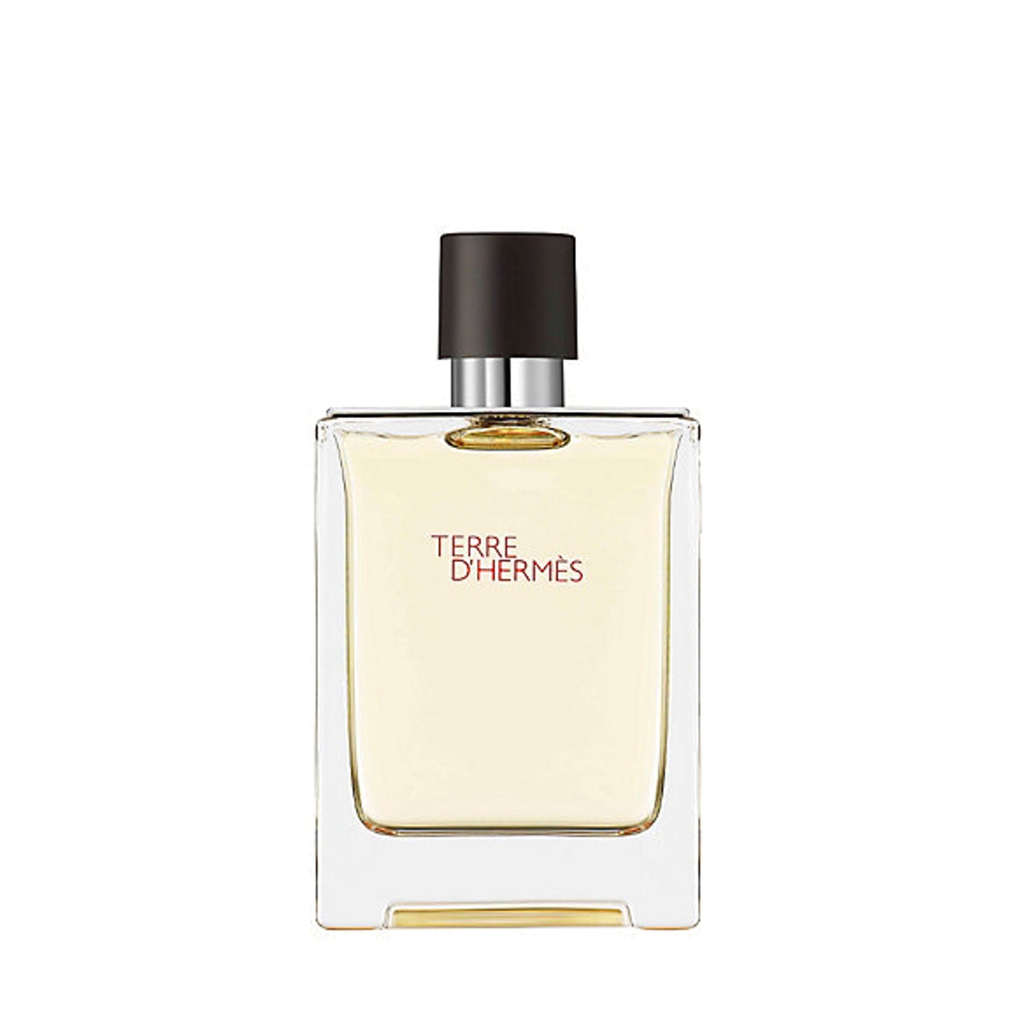 Hermes Terre D'Hermes Eau de Toilette 100 ml
