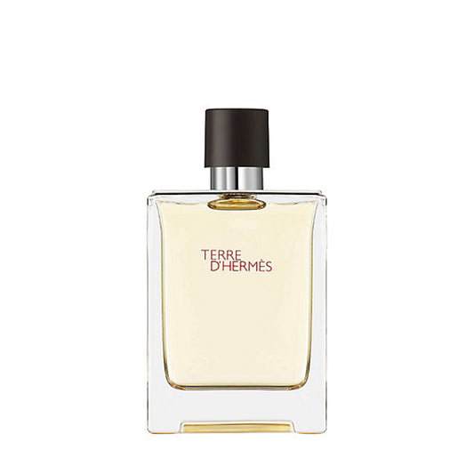 Hermes Terre D'Hermes Eau de Toilette 100 ml