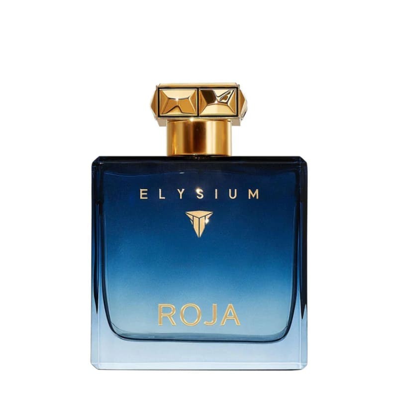 Roja Elysium Pour Homme Eau de Parfum 100 ml